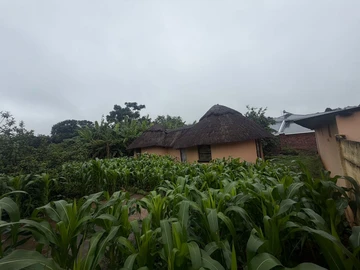 6 Bedroom House