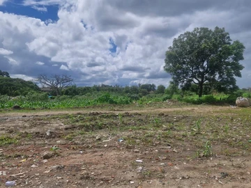 Commercial & Industrial Land