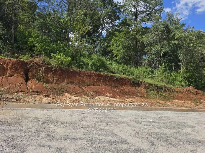 Borrowdale Brooke Stands For Sale