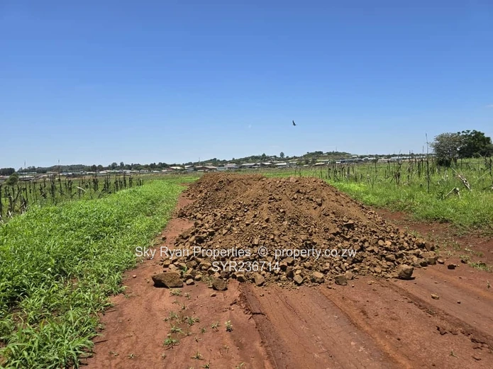 Tynwald Stands For Sale 