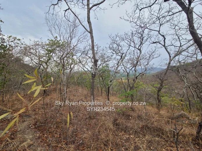 Christon Bank Plot For Sale