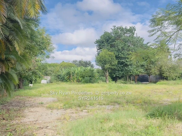 Avondale Stand For Sale