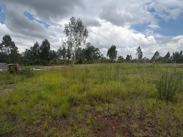 Commercial & Industrial Land