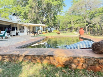 Stands & Residential Land