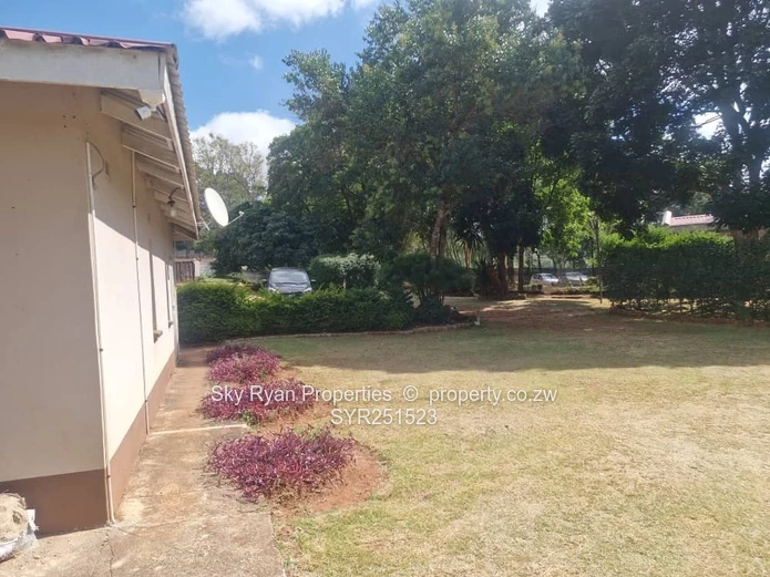 Greystone Park Stand For Sale