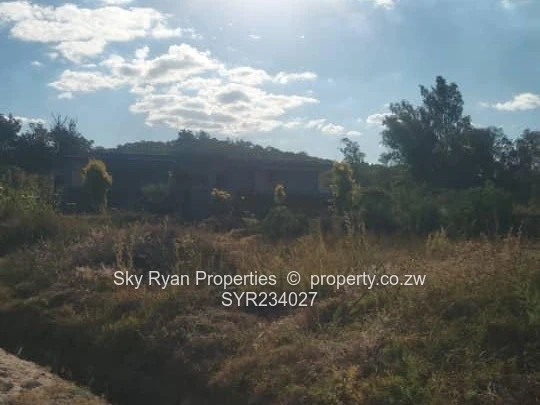 Borrowdale Stand For Sale