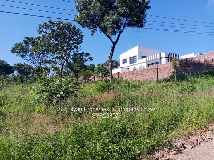 Carrick Creagh Stands  For Sale