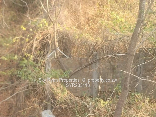 Glen Lorne  Stand For Sale