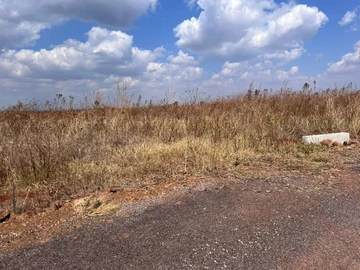 Borrowdale Pomona Nyeredzi Ridge stand for sale