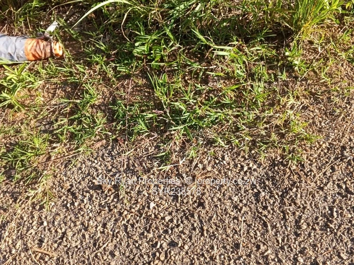 Carrick Creagh Stands  For Sale