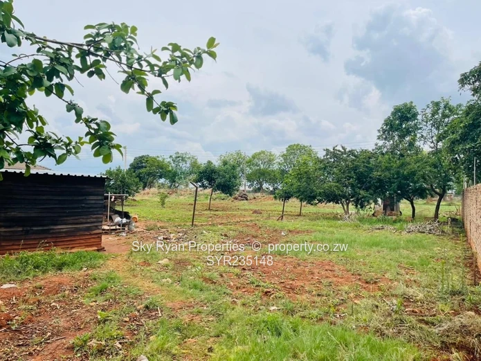 Westgate Adylinn Stand For Sale