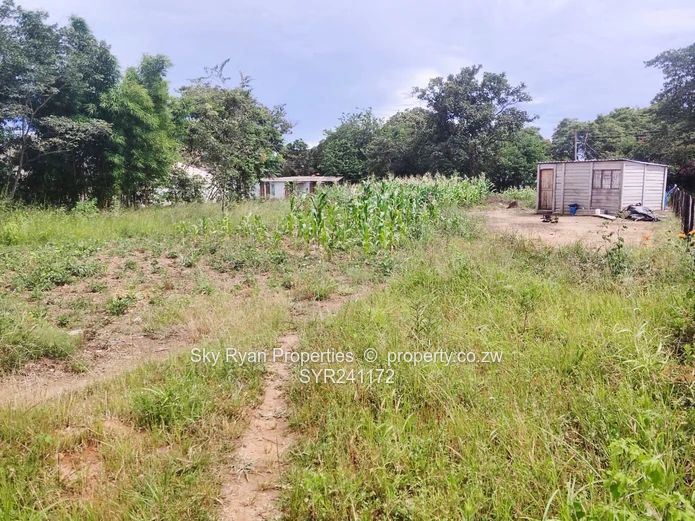 Mabelreign Stand For Sale