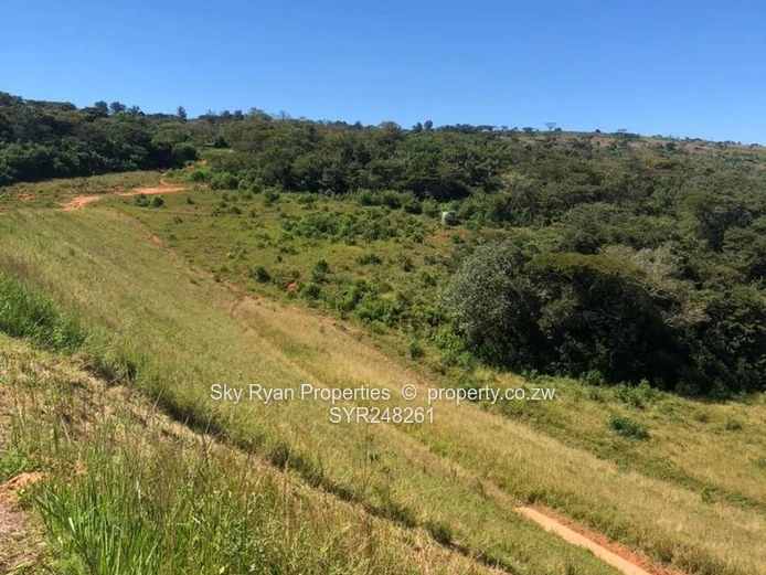 Chipinge Farms For Rent