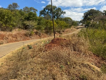 Land