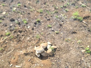 Commercial & Industrial Land