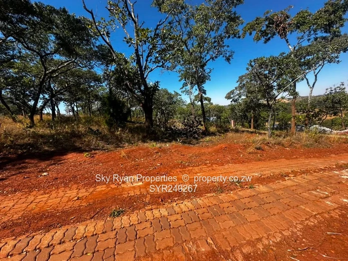 Shawasha Hills Stand For Sale