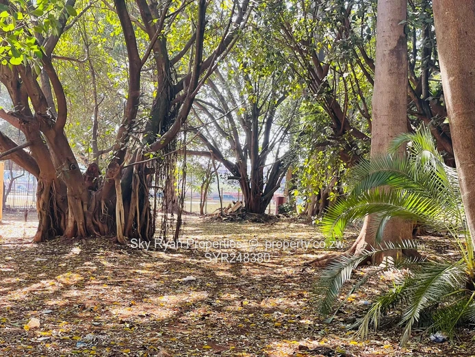 Hicc Cbd Commercial Land For Sale