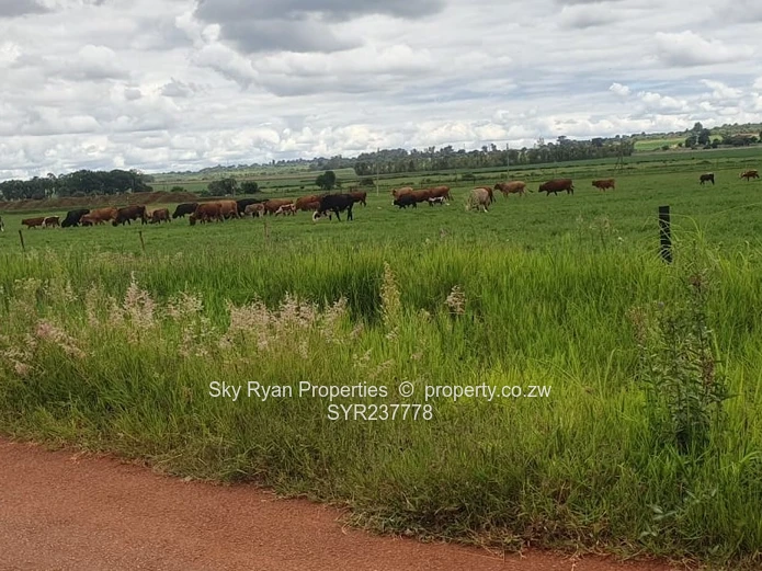 Mount Pleasant Heights Land For Sale