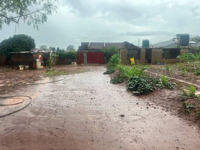 Cold Comfort Stand For Sale