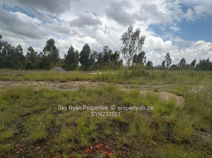 Mount Hampden Industrial stands for sale 