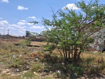 Shop & Retail Property