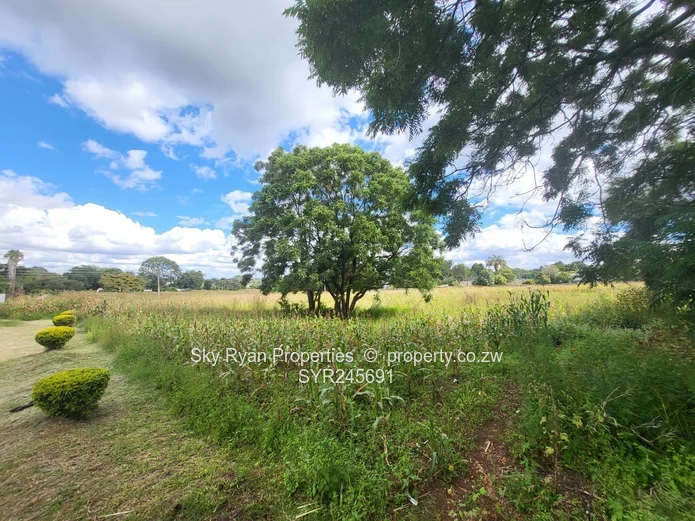 8 Stands For Sale In Borowdale