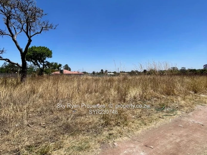 Hatfield Stand For Sale (Sole Mandate)