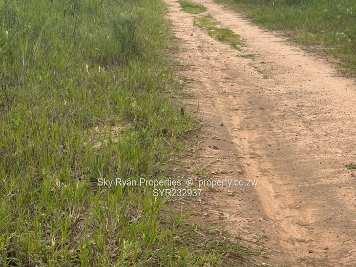 Ruwa Virgin Land For Sale