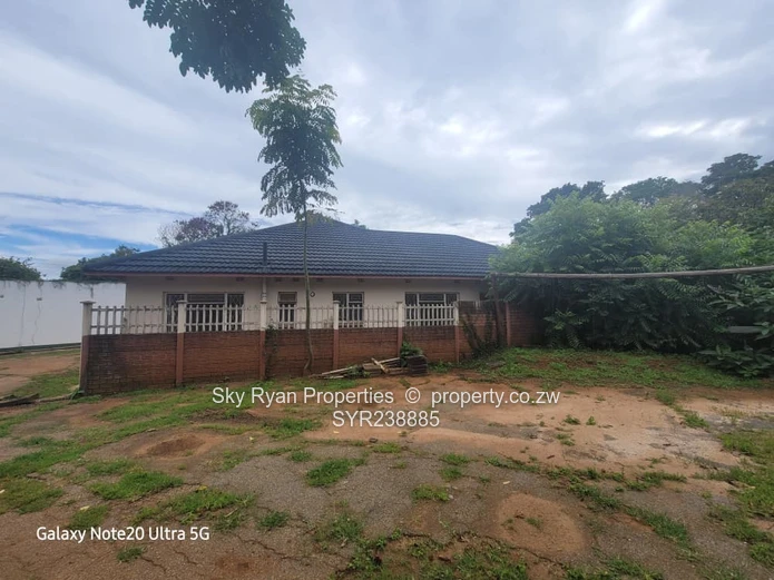 BORROWDALE  - SAM LEVY for sale 