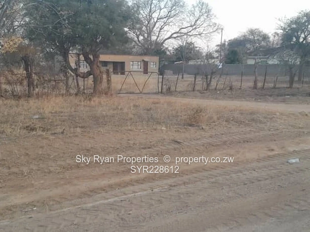 Plumtree Stand For Sale 