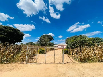 Stands & Residential Land