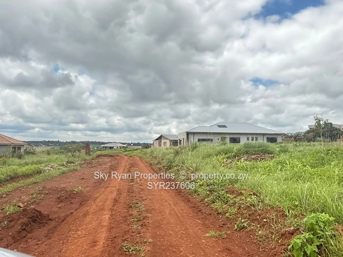 Crowhill Stands For Sale