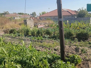 Stands & Residential Land