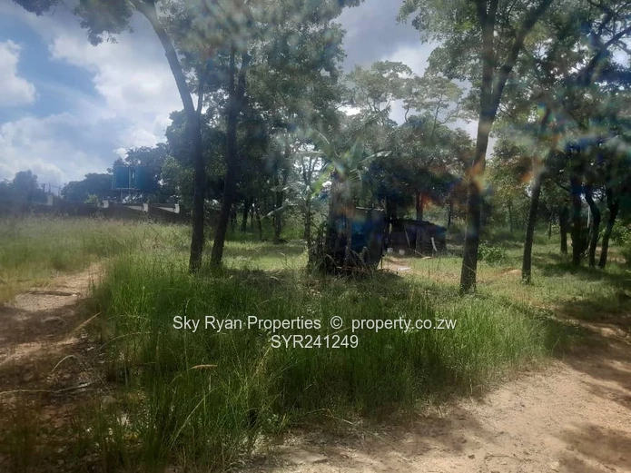 Carrick Creagh Stand For Sale