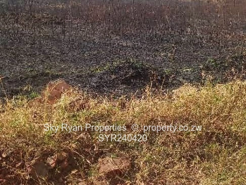 Spitzkop Prayer City Stand For Sale