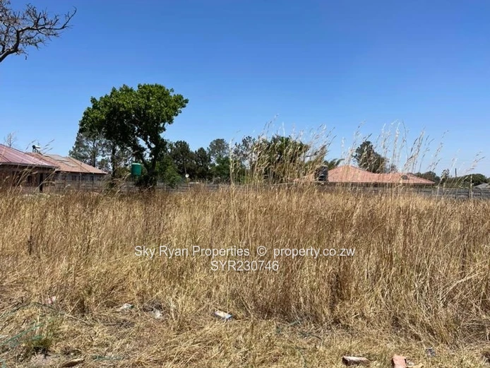 Hatfield Stand For Sale (Sole Mandate)