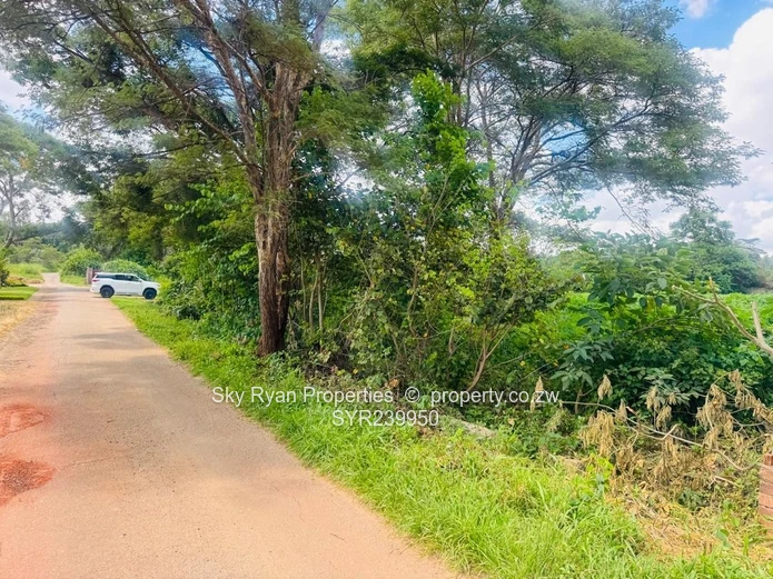 Mandara Land For Sale