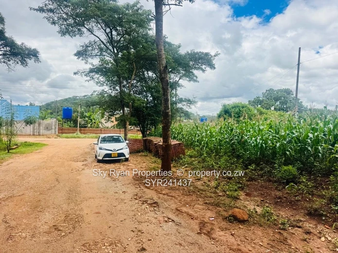 Glen Lorne  Stand For Sale