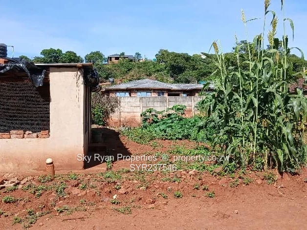 Cold Comfort Stand For Sale 