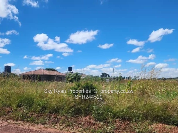 Spitzkop Stands For Sale