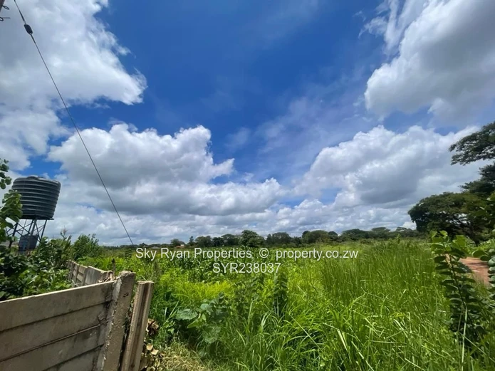 Westgate Area D Stand For Sale