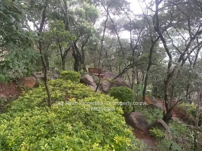 Christon Bank Property For Sale