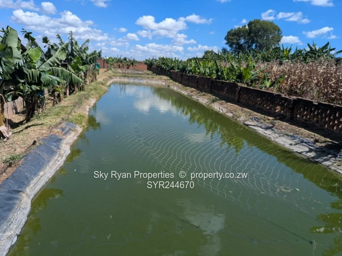 Norton Turnkey Farm For Sale