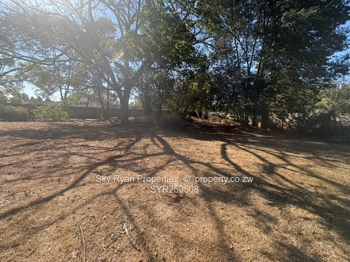 Prime Land In Borrowdale For Sale 
