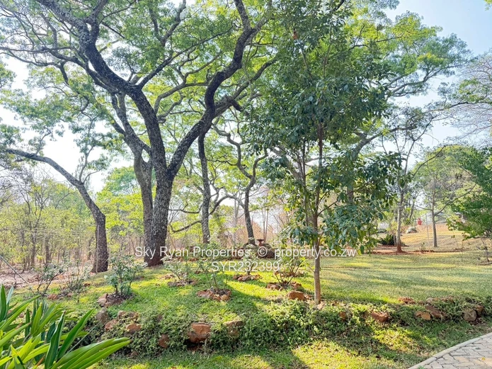 Borrowdale Luna Stand For Sale