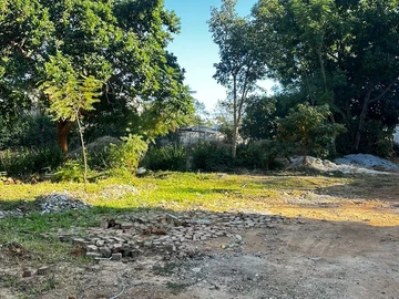 Land