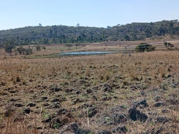 Farm & Agricultural Land