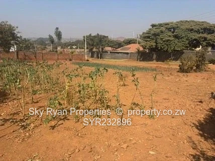 Tynwald Stand For Sale 