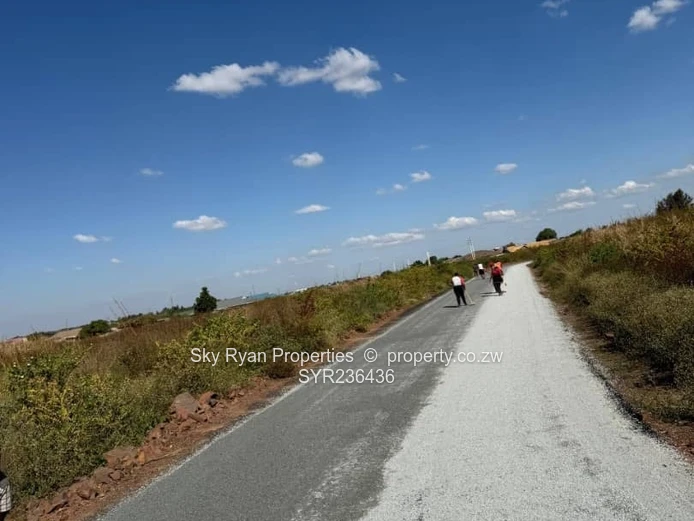 Dzivarasekwa Extension Stand For Sale