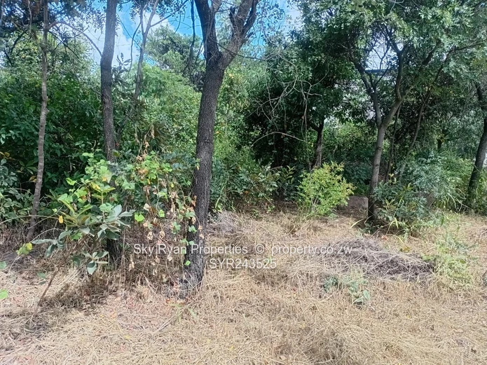 Msasa Industrial Stand For Sale